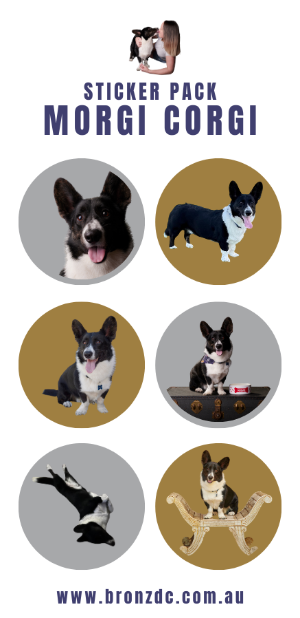 Morgi Corgi: Interior Fun - Printed Copy